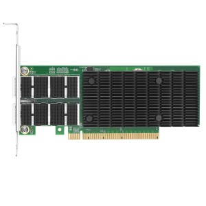 100 Gigabit Dual Por...