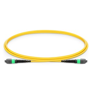 Single Mode MPO-24 (...