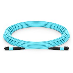 Multimode MPO-12 (Fe...