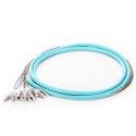 OM3 50/125 Multimode 12-Fiber Distribution Fiber Optic Pigtail