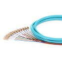 OM3 50/125 Multimode 12-Fiber Distribution Fiber Optic Pigtail